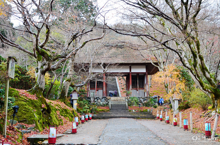 常寂光寺05.jpg