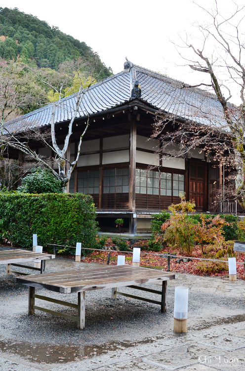 常寂光寺16.jpg