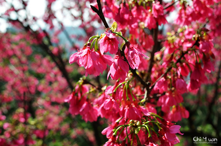 基隆中正公園01.jpg