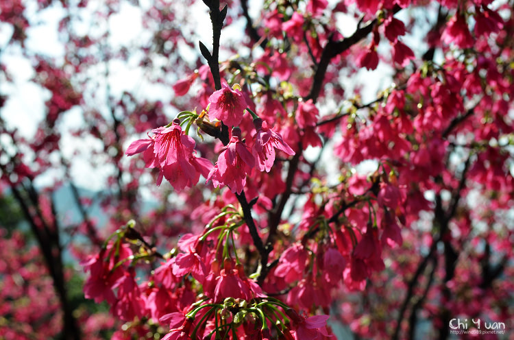 基隆中正公園10.jpg