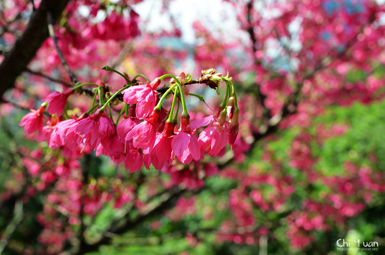 基隆中正公園11.jpg