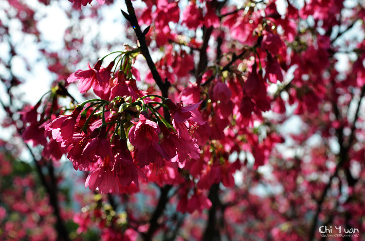 基隆中正公園12.jpg