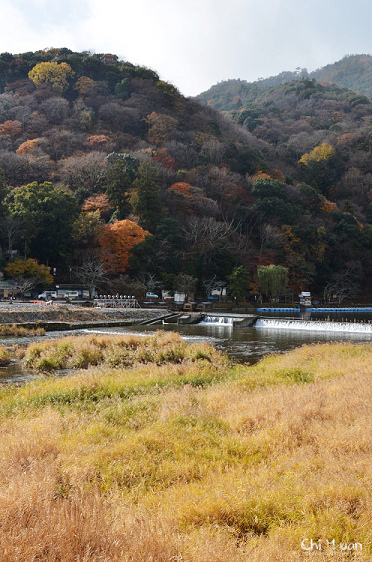 渡月橋16.jpg