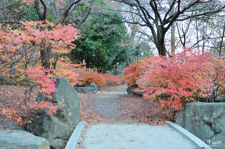 梅小路公園01.jpg