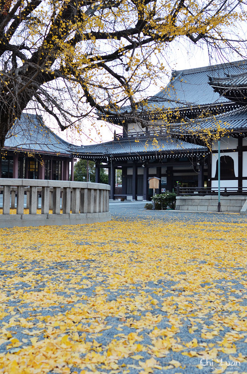 西本願寺01.jpg