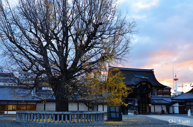 西本願寺02.jpg