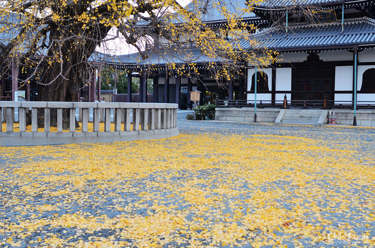 西本願寺08.jpg