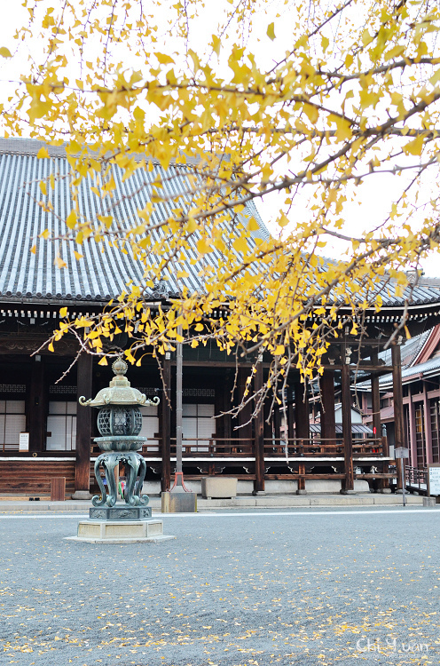 西本願寺13.jpg