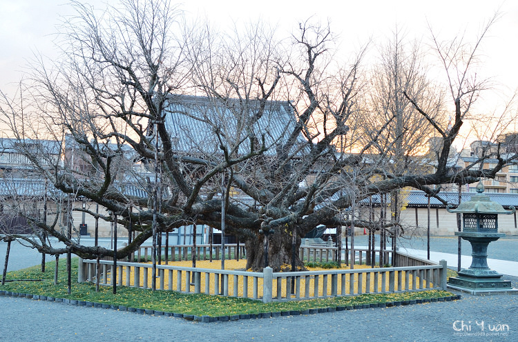 西本願寺17.jpg