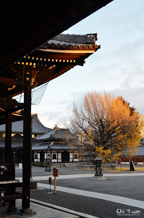 西本願寺25.jpg