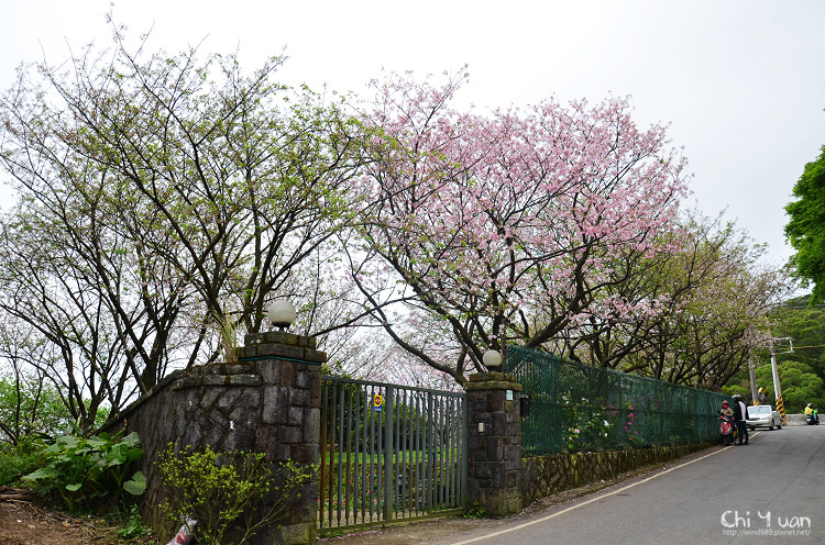 蔡博士櫻花園02.jpg