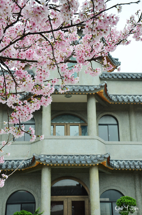 陽明山東方寺16.jpg