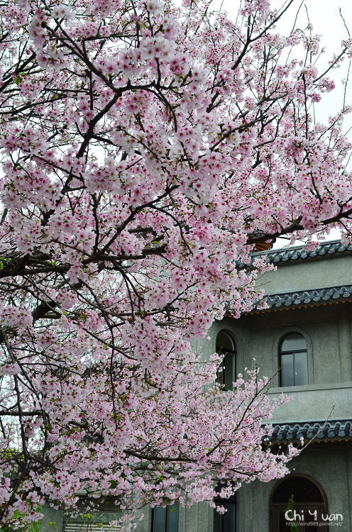 陽明山東方寺18.jpg