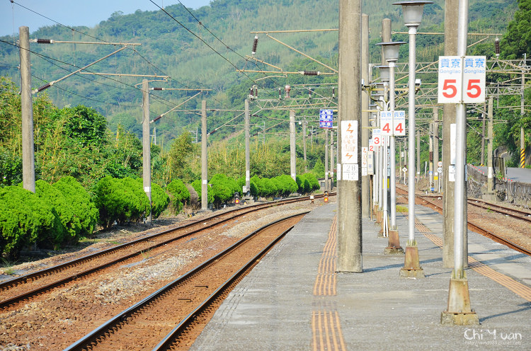 2012東北角草嶺古道芒花季05.jpg