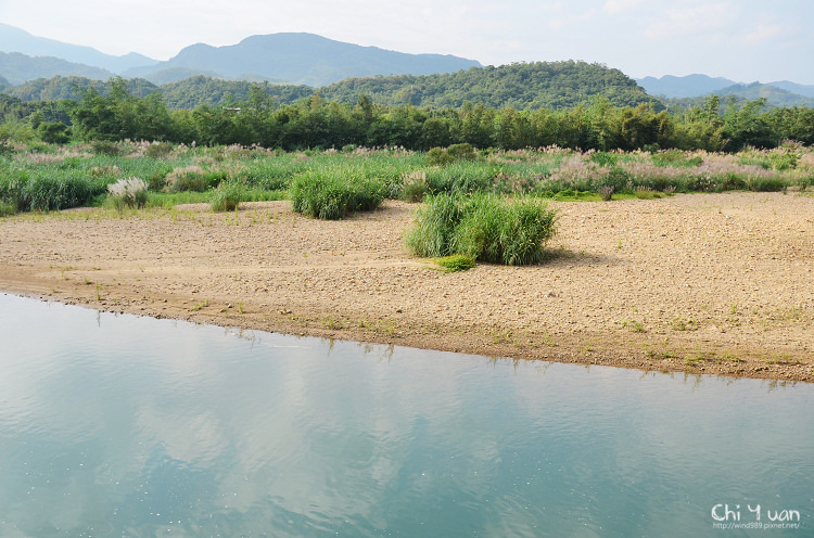 2012東北角草嶺古道芒花季08.jpg