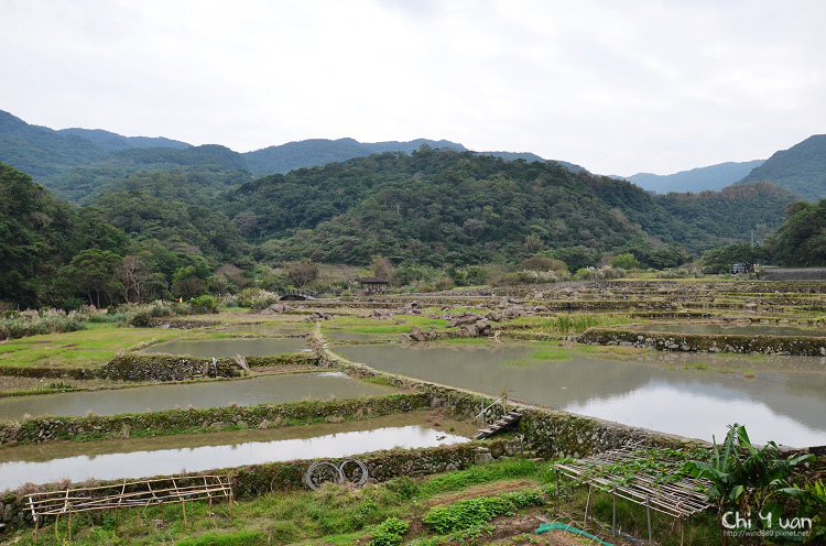 2012東北角草嶺古道芒花季14.jpg