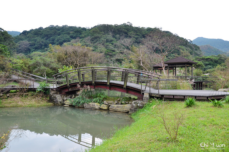 2012東北角草嶺古道芒花季15.jpg