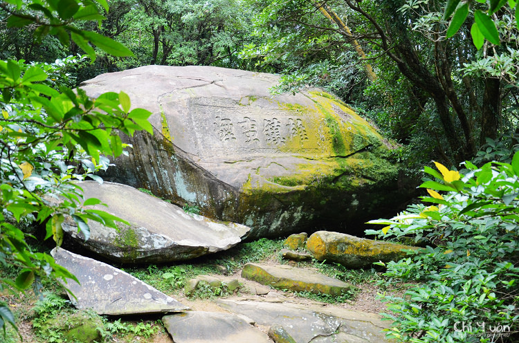 2012東北角草嶺古道芒花季20.jpg