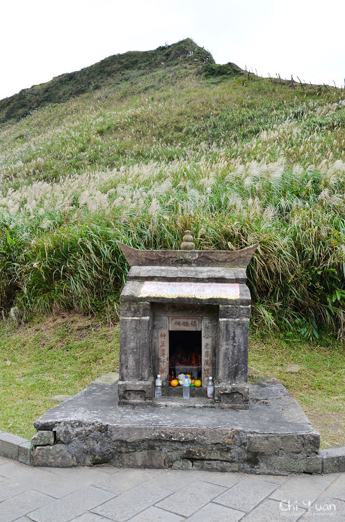 2012東北角草嶺古道芒花季30.jpg