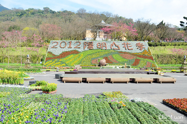 2012陽明山花季01.jpg