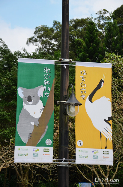 木柵動物園大貓熊14.jpg