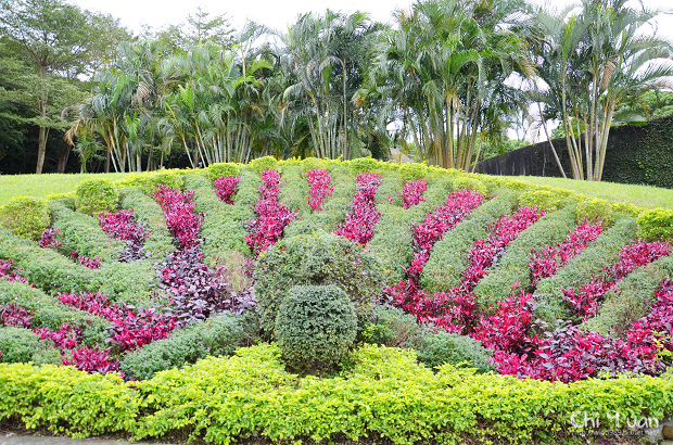 2011台北花卉展-自來水園區24.jpg