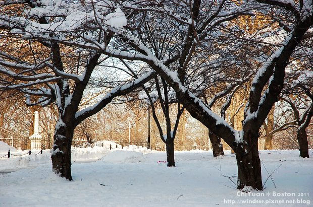 Boston Common波士頓公園15.JPG