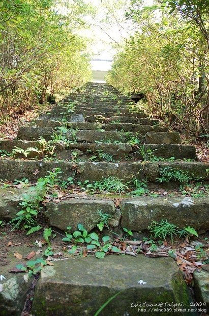 侯硐神社11.jpg