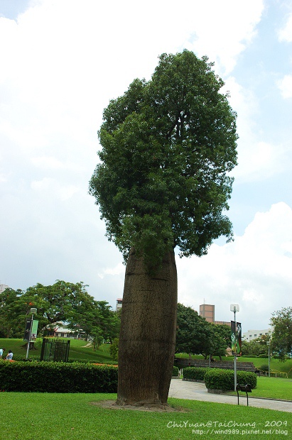 科博館植物園04.jpg