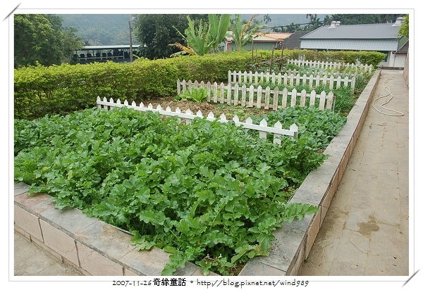 DSC_9912和興國小_菜園