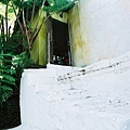 010.jpg