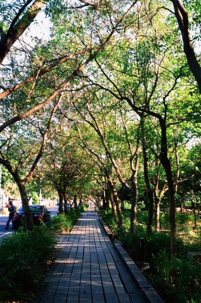 002.靠馬路這邊的步道