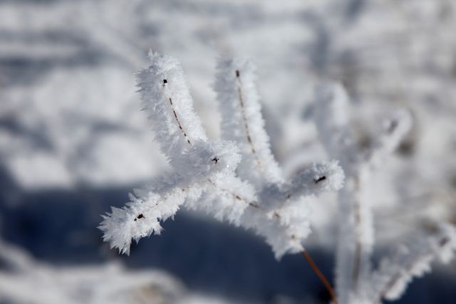 B-雪花1.jpg