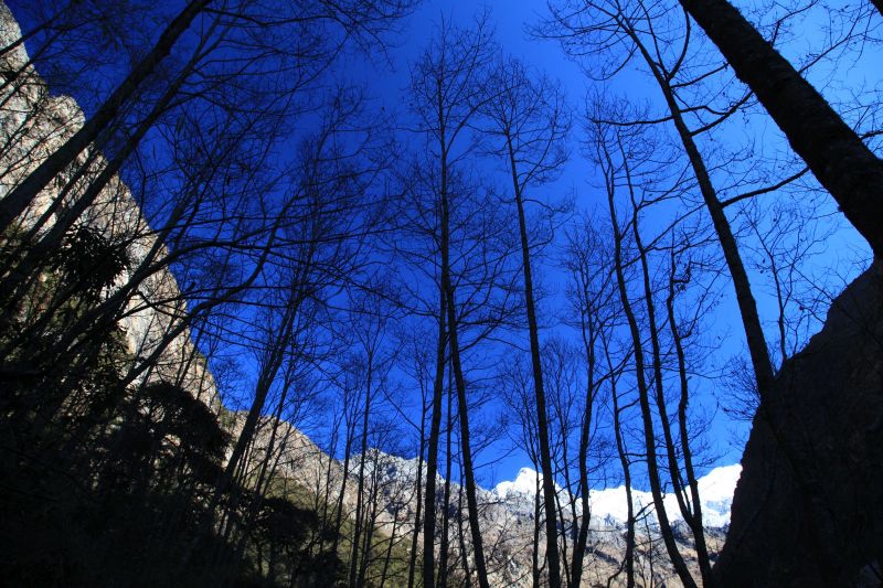 Nepal-Langtang2.jpg