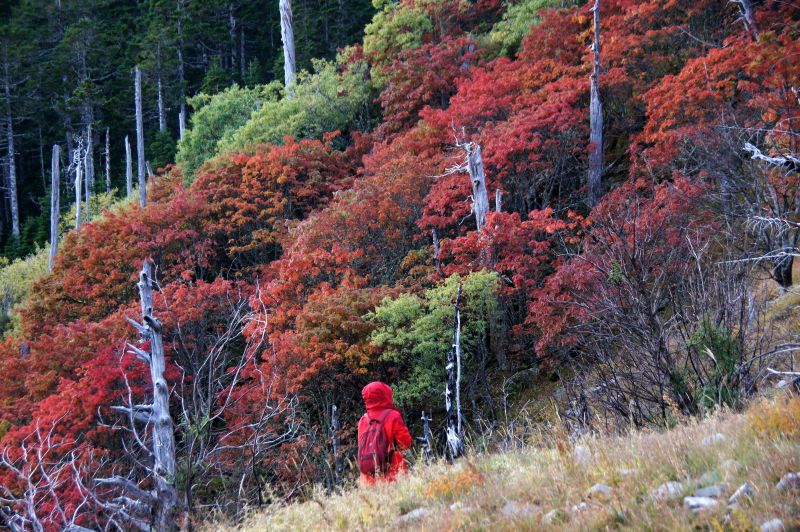 雪山11.jpg