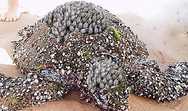 序曲 - 下一步在哪裡?