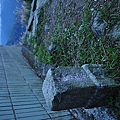 DSC_0210.JPG