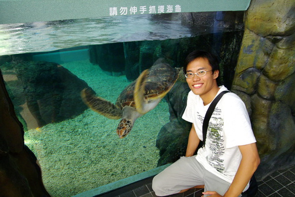 澎湖海生館的海龜