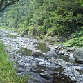 蟲鳴鳥叫山水間