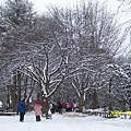 很美的雪景