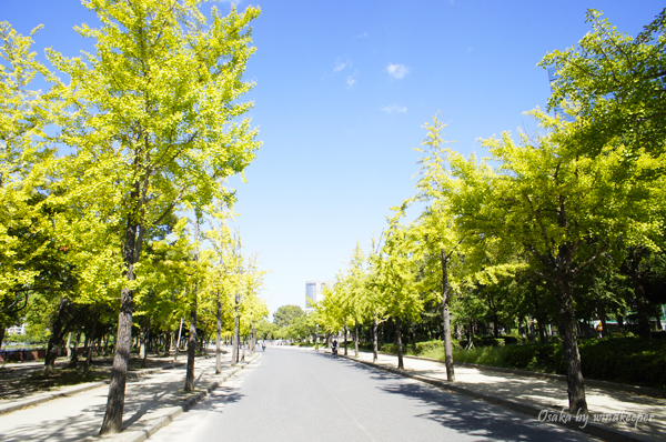 【大阪】俯瞰大阪市景的過去與現在(上)：大阪城 (1)