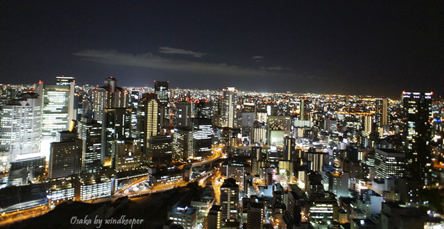 【大阪】俯瞰大阪市景的過去與現在(下)：HEP FIVE摩天輪+梅田空中庭園 (5)