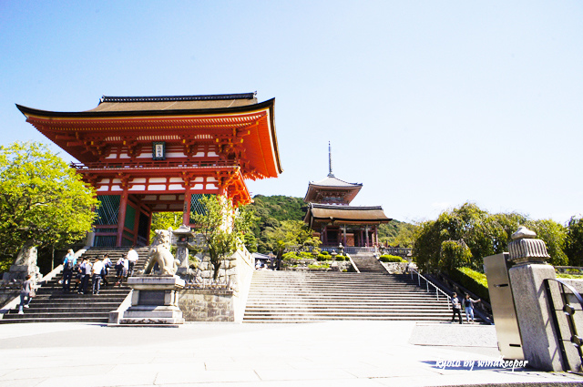 【京都】清水寺巧遇藝妓‧坐人力車當大爺 (23)