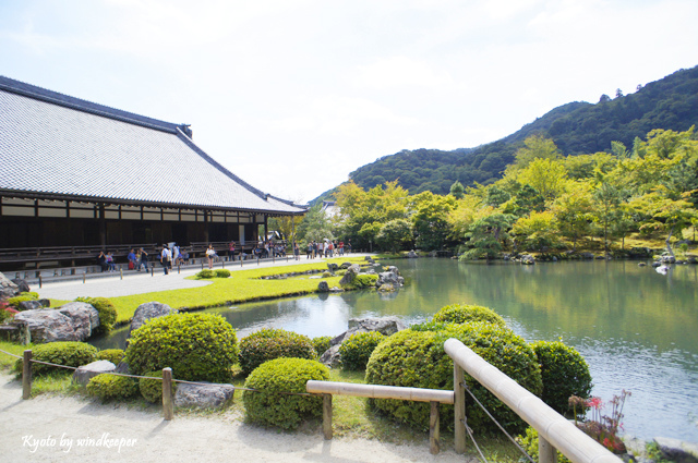 【京都】彼岸花畔一片天：大本山天龍寺(1)