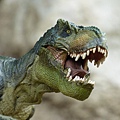 tyrannosaurus-855188_1280.jpg