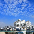 IMG_0740.JPG