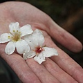 IMG_1242.JPG