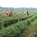 IMG_1244.JPG
