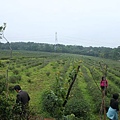 IMG_1249.JPG