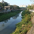 IMG_1286.JPG